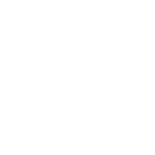 EFK – Hasport Performance